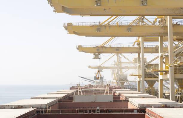 The image of cargo ships, which are the basis of maritime trade, during their discharge at the port Large dry cargo ship unloads cargo with the help of giant cranes in the port Oman stock pictures, royalty-free photos & images