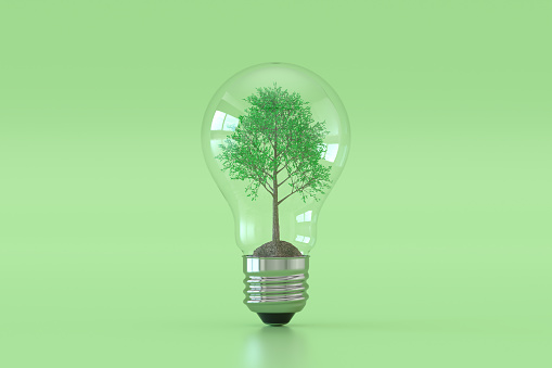 Climate change sustainable environment tree in light bulb, 3d render.