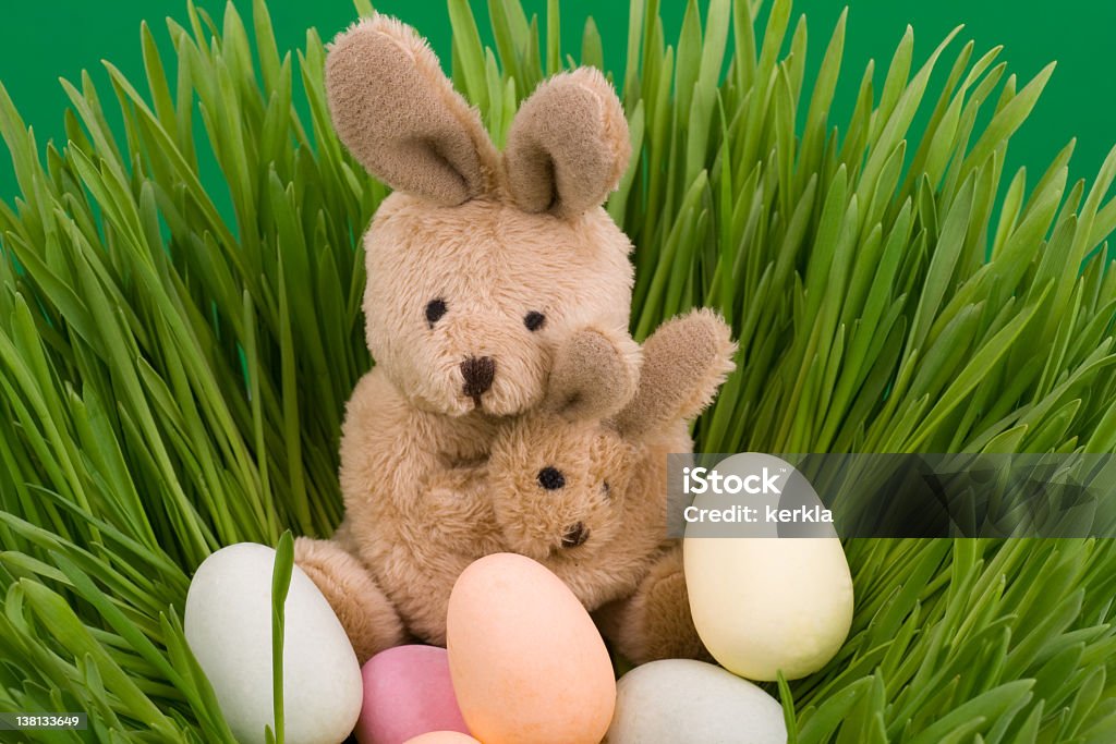 Easter rabbit with eggs on grass Easter bunny with eggs on grass Animal Stock Photo