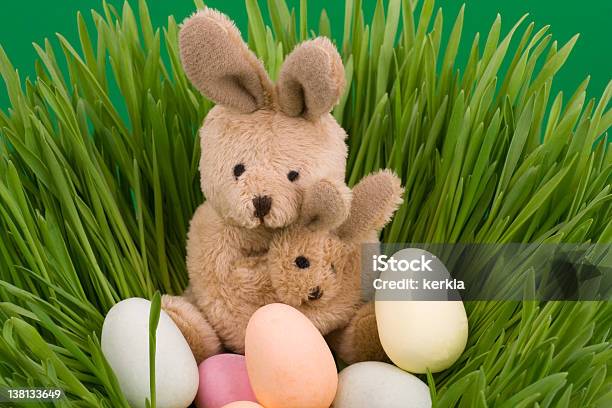 Easter Rabbit With Eggs On Grass Stock Photo - Download Image Now - Animal, Animal Nest, Baby Rabbit