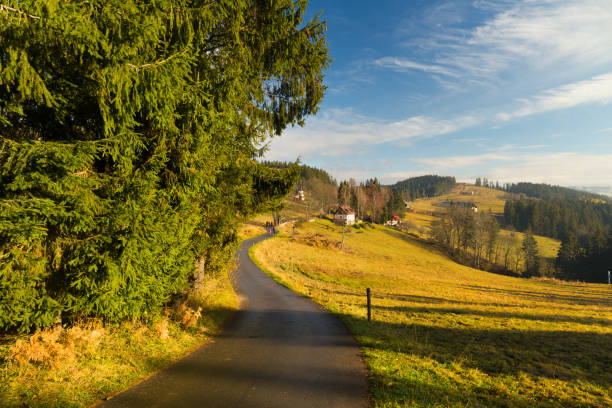 istock Small road through mountain landscape with clear blue sky. 1381338848