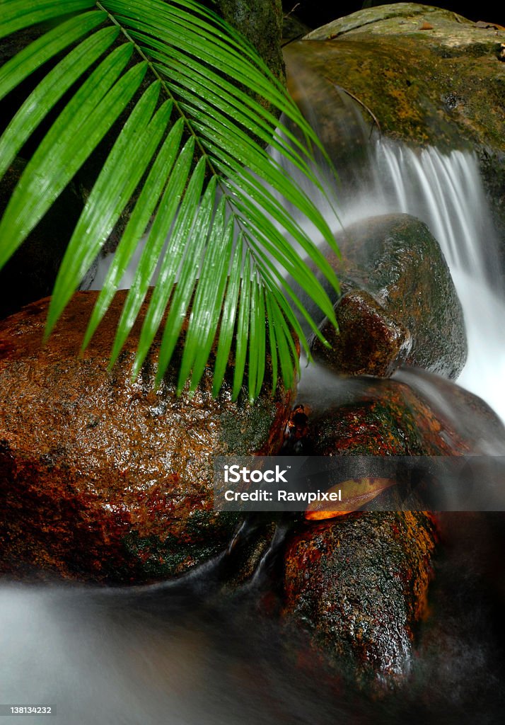 Cascata tropicale - Foto stock royalty-free di Acqua