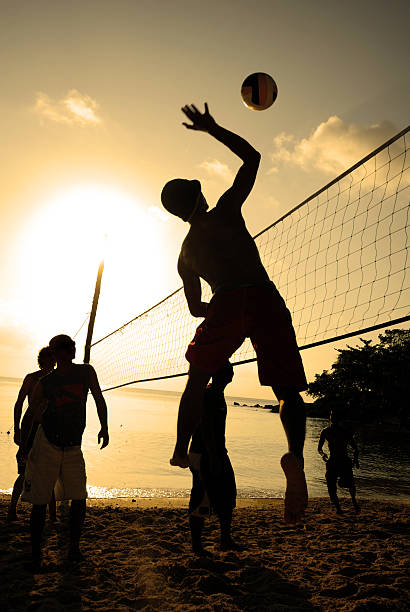 istock Tropical Island Life 138134295