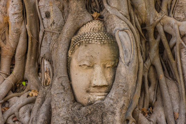 istock Buddha head embedded in a Banyan Tree in Ayutthaya, Thailand 1381356081