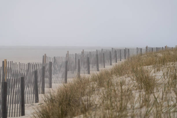 Beach environment at Plum Island on Cape Ann of the northeast coast of Massachusetts. The protected 11 mile long island is known for the beach plums plants for it's namesake.