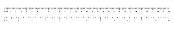 vektorabbildung des bandlineals 30 cm und 12 zoll isoliert auf weißem hintergrund. messen sie instrumentenlinien im flachen stil. horizontale messskala. markup für lineale. vorlage für die balkenpegelanzeige. - königliche persönlichkeit stock-grafiken, -clipart, -cartoons und -symbole