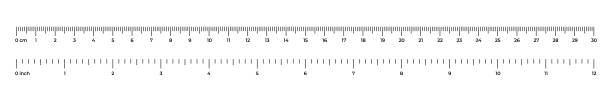 Vector illustration of tape ruler 30 cm and 12 inches isolated on white background. Measure instrument lines in flat style. Horizontal measuring scale. Markup for rulers. Bar level meter template. Vector illustration of tape ruler 30 cm and 12 inches isolated on white background. Measure instrument lines in flat style. Horizontal measuring scale. Markup for rulers. Bar level meter template. royal person stock illustrations