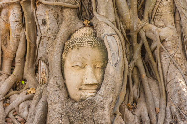 istock Buddha head embedded in a Banyan Tree in Ayutthaya, Thailand 1381368123