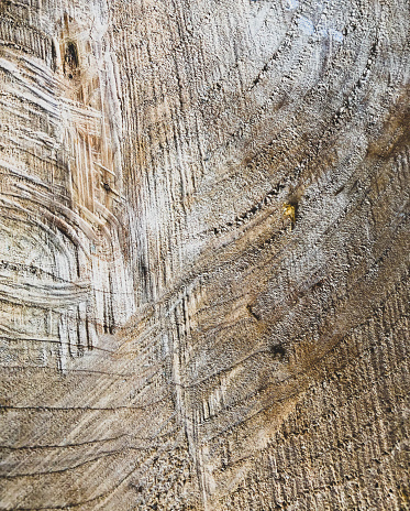 Texture from a cut off tree stump.