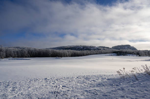 istock Winter scenery across a snowy field 1381429980