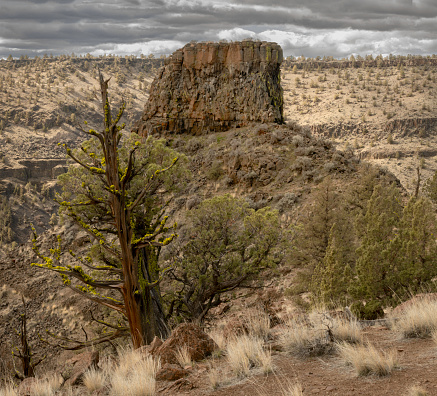 Basalt cliffs near the Crooked River as it passes through the Ochoco Mountain area of Oregon