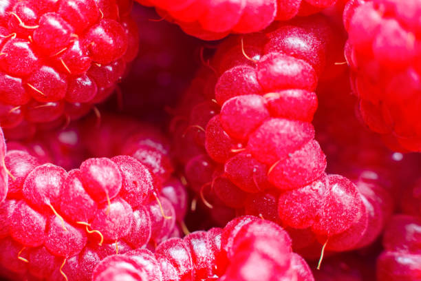 istock Macro of ripe red raspberry. Food background. Close-up. 1381434850