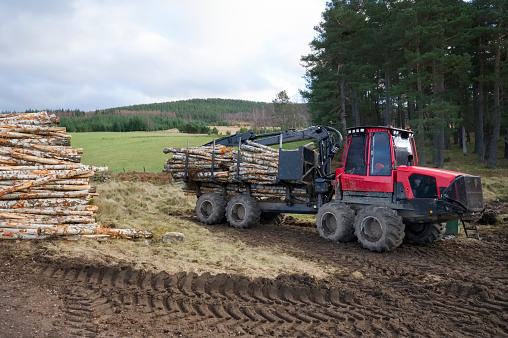 Chopped wood logs for sale stored in forest with truck in background UK