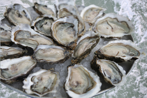 Oyster served with ice, on the table