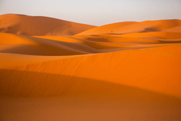istock Beautiful sand dunes in the Sahara Desert in Morocco 1381449751
