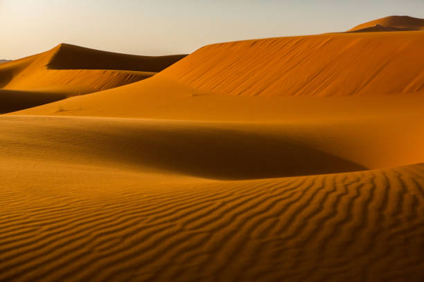 istock Beautiful sand dunes in the Sahara Desert in Morocco 1381451895