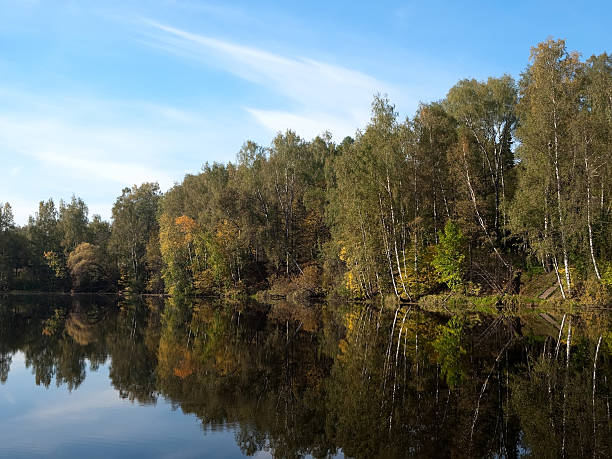 istock Autumn lake in wood. 138146554