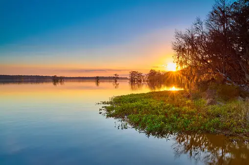 Calm Lake Pictures | Download Free Images on Unsplash