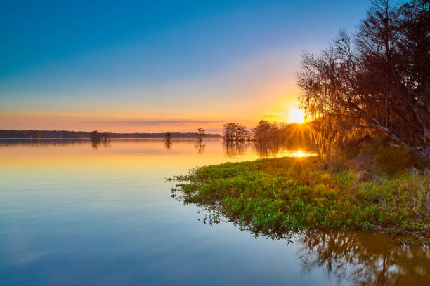 sunset at lake talquin state park near tallahassee, fl. - natural land state imagens e fotografias de stock