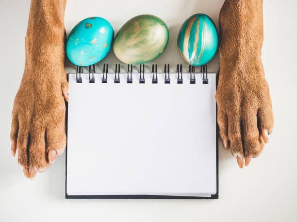 istock Lovable, pretty puppy brown color and Easter eggs 1381482240