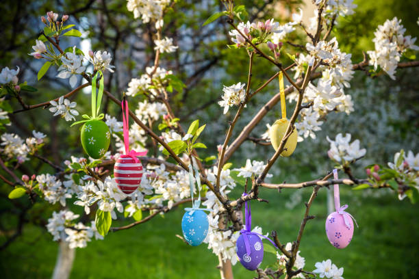 istock Decorative Easter eggs hanging on sakura branch with tender blossom, bright blue sky, sunlight, spring blooming 1381489373