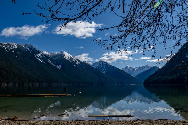 istock Chilliwack Lake Provincial Park 1381497106