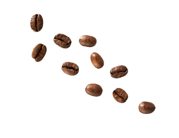 コーヒー豆を白に - coffee bean coffee crop espresso mocha ストックフォトと画像