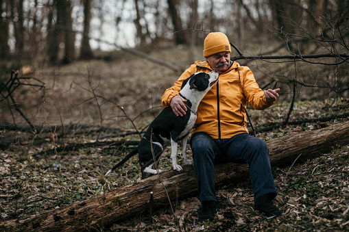 A senior adult man with dog walking in an autumn nature