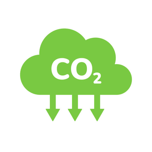 illustrazioni stock, clip art, cartoni animati e icone di tendenza di riduzione delle emissioni di co2 verde nuvola piatta icona emblema. progettazione della neutralità dell'anidride carbonica. certificato di ecologia, prevenzione del riscaldamento globale, protezione dall'inquinamento atmosferico, illustrazione vettoriale  - footprint carbon environment global warming