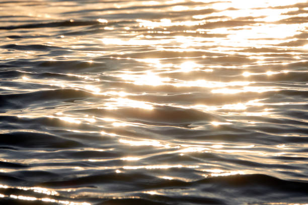 istock Sea waves at sunset. Sun glare in the waves. 1381539185