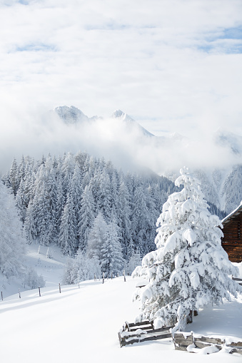 Winter in the Austrian ALps. Snowy landscape. High quality photo