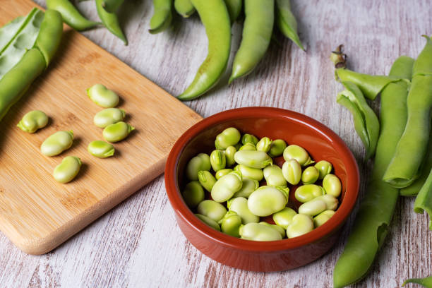 istock Fresh broad beans next to a clay plate with its fruit. 1381547664