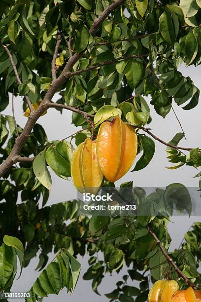 Carambola Foto de stock y más banco de imágenes de Carambola - Carambola, Flora, Fotografía - Imágenes