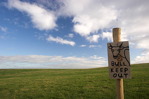 bull-out - sign farm irish culture bull - fotografias e filmes do acervo