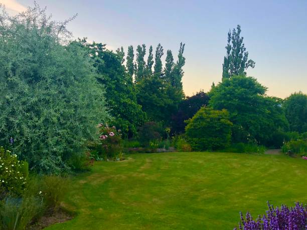 istock Lawn surrounded by garden 1381571345