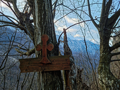 a tree with an inscription on a wooden board, on a mountain path