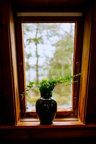 istock Still life plant in a vase on a window 1381572667