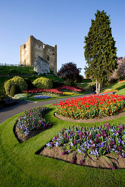 guildford castle alten englischen garten in surrey - castle famous place low angle view england stock-fotos und bilder