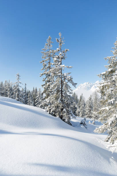 istock Winter in the Alps. Nature background 1381574824