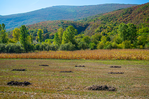 Beautiful landscape of Dry Mountain or Suva Planina in Serbia