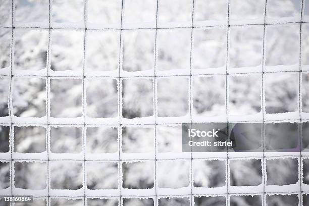 Zima Ogrodzenie - zdjęcia stockowe i więcej obrazów Bez ludzi - Bez ludzi, Biały, Fotografika