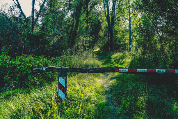 ścieżka przez zielony las z barierą. - footpath european alps fence woods zdjęcia i obrazy z banku zdjęć