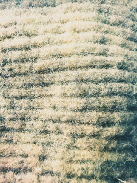 istock A bright, white fabric made of wool. 1381617116