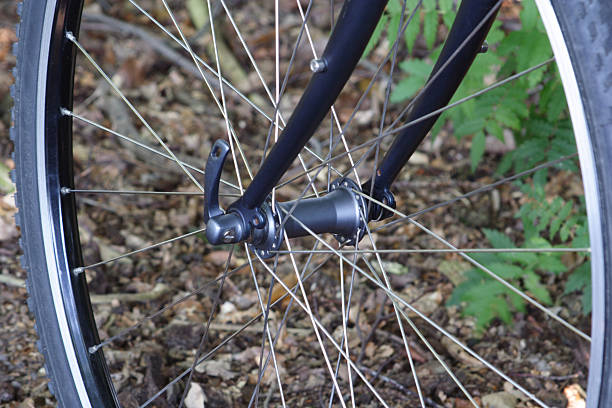 istock Trekking bike #4 138161997