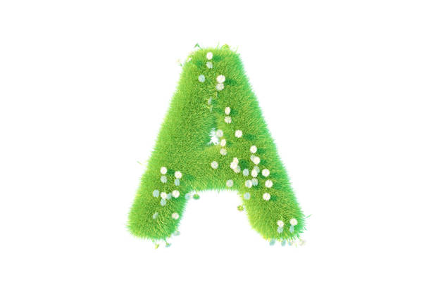 3D Rendering Letter A with Grass and Flowers Uppercase Alphabet