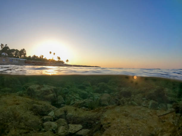 istock Underwater Las Rotas coast Denia Alicante Spain 1381627331