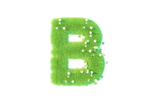 3D Rendering Letter B with Grass and Flowers Uppercase Alphabet
