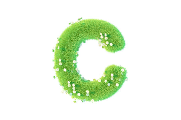 3D Rendering Letter C with Grass and Flowers Uppercase Alphabet