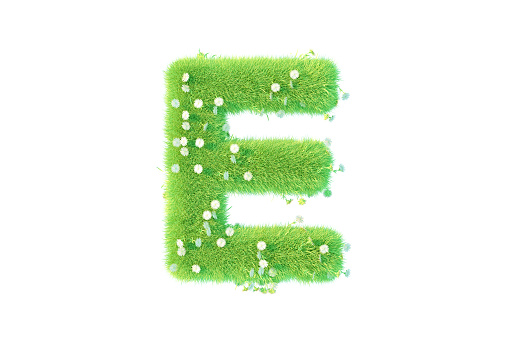 3D Rendering Letter E with Grass and Flowers Uppercase Alphabet