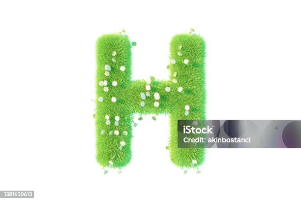 Letter H With Grass And Flowers Uppercase Stock Photo - Download Image Now - Letter H, Flower, Nature